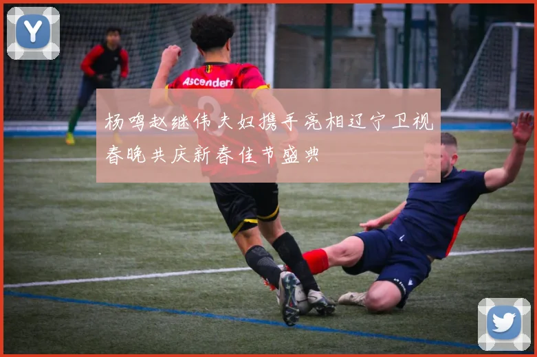 杨鸣赵继伟夫妇携手亮相辽宁卫视春晚共庆新春佳节盛典