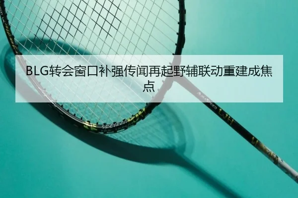 BLG转会窗口补强传闻再起野辅联动重建成焦点(kaiyun)